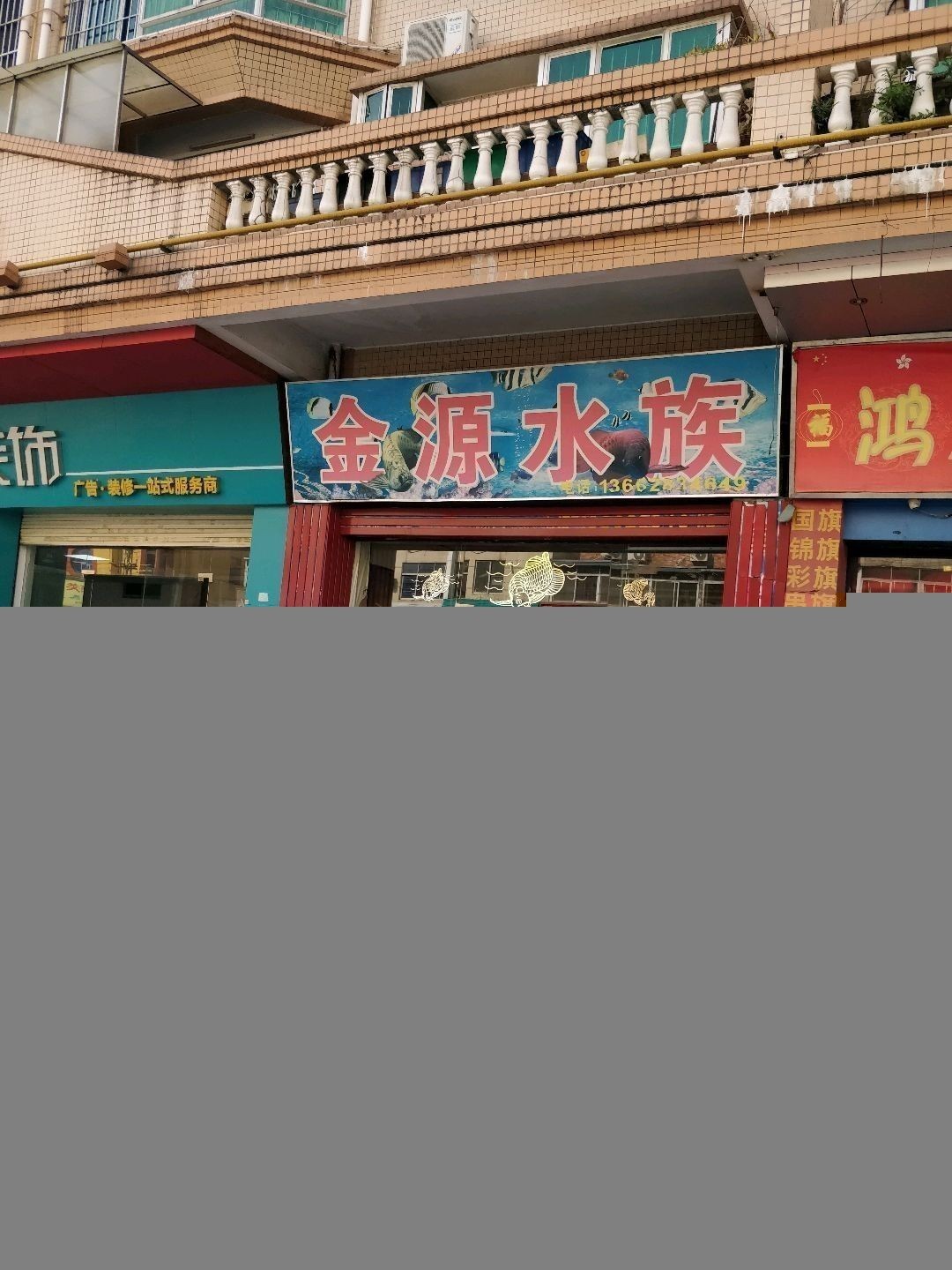 西平開水族店怎么樣？加盟祥龍魚場賣龍魚市場怎樣？