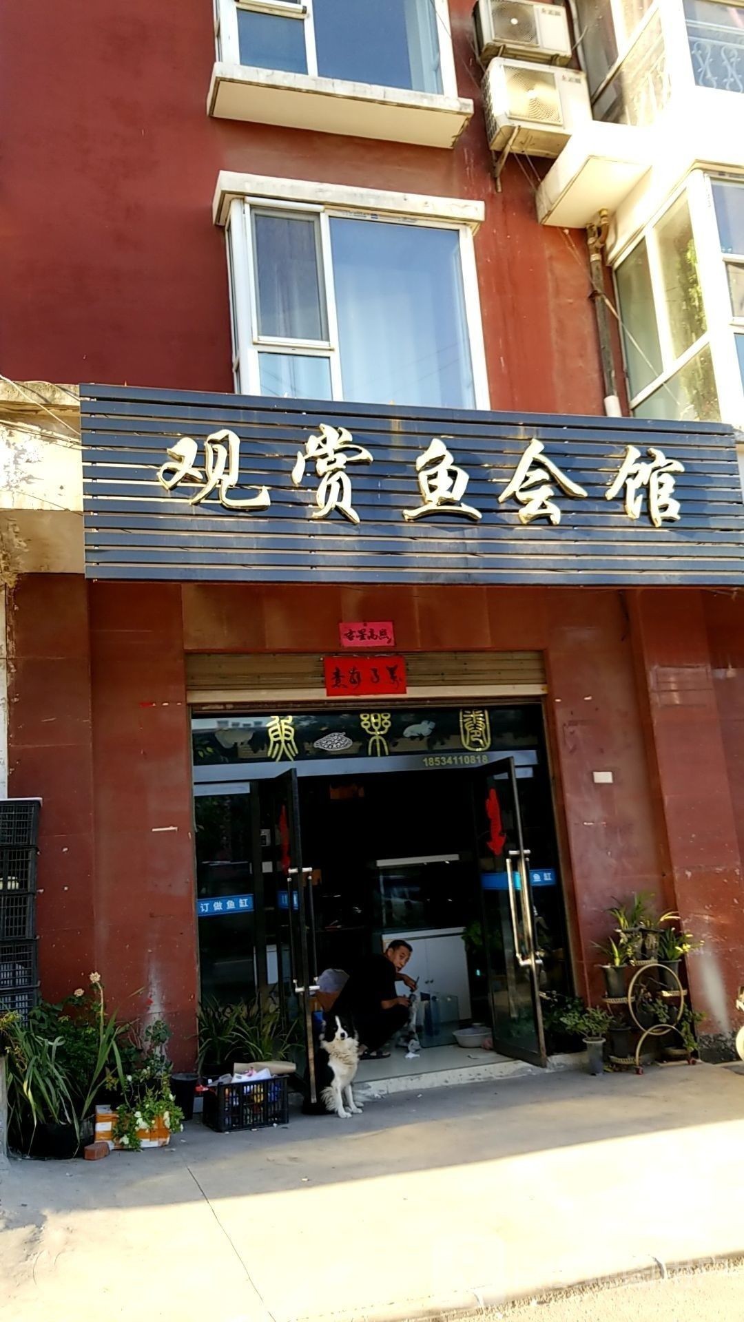 襄垣開水族店怎么樣？加盟祥龍魚場賣龍魚市場怎樣？