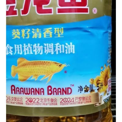 金龍魚神經質【金龍魚為什么會有神經質？】