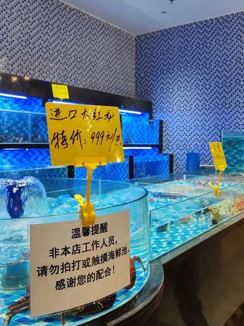 馬龍開水族店怎么樣？加盟祥龍魚場賣龍魚市場怎樣？