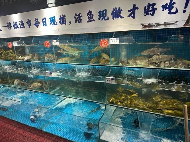 多縣開水族店怎么樣？加盟祥龍魚場賣龍魚市場怎樣？