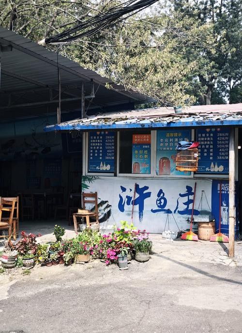 懷集開水族店怎么樣？加盟祥龍魚場賣龍魚市場怎樣？