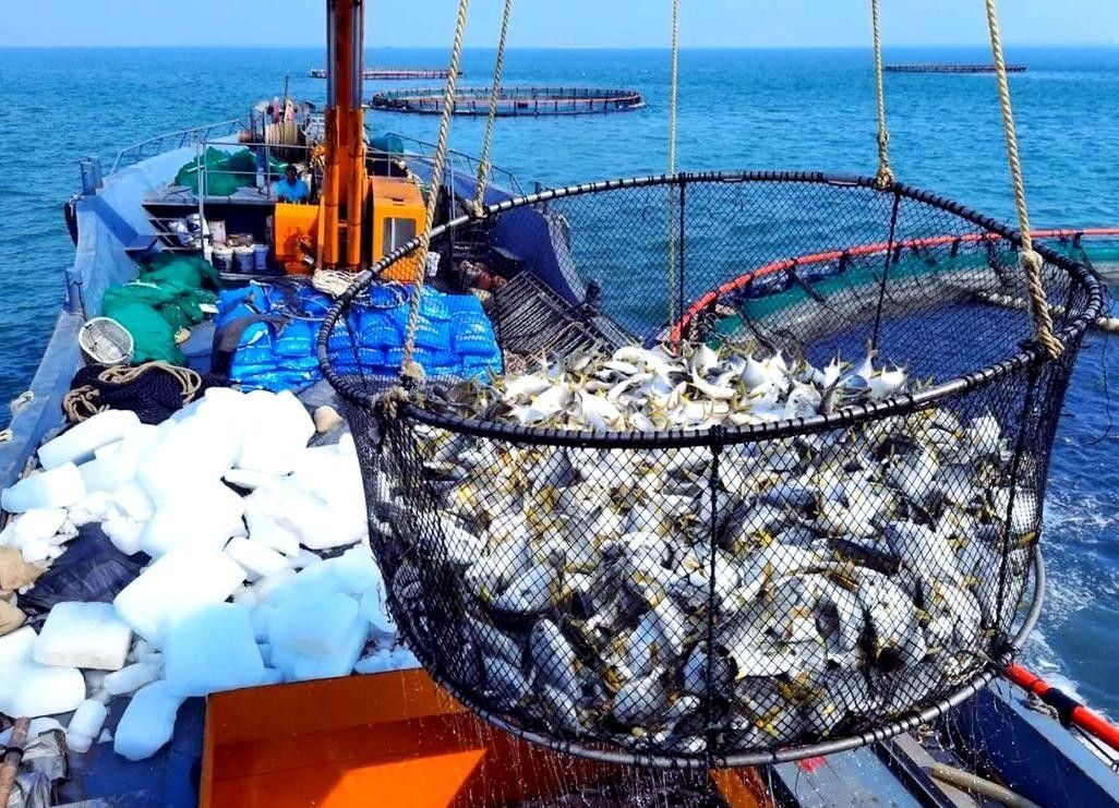 海鹽開水族店怎么樣？加盟祥龍魚場賣龍魚市場怎樣？