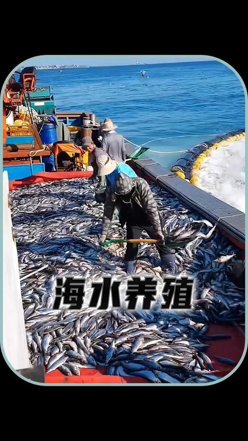 海鹽開水族店怎么樣？加盟祥龍魚場賣龍魚市場怎樣？