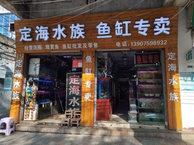定海開水族店怎么樣？加盟祥龍魚場賣龍魚市場怎樣？
