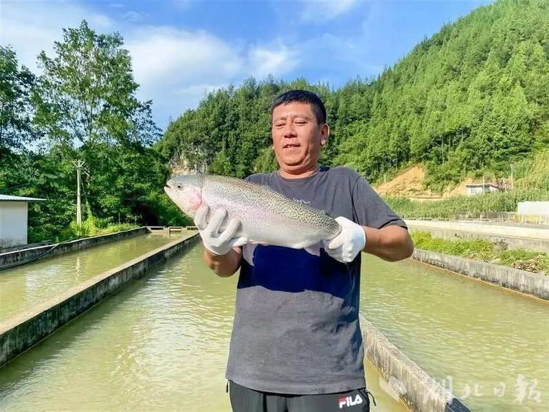 利川開水族店怎么樣？加盟祥龍魚場賣龍魚市場怎樣？