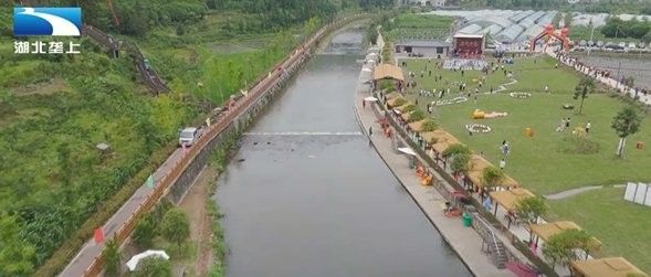 利川開水族店怎么樣？加盟祥龍魚場賣龍魚市場怎樣？
