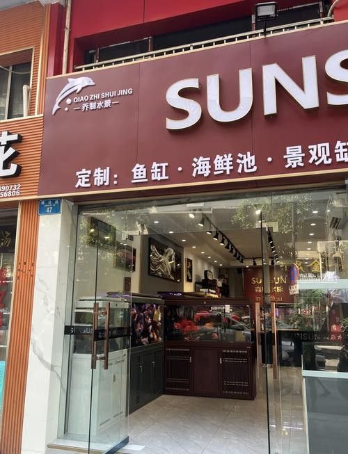 自流井開水族店怎么樣？加盟祥龍魚場賣龍魚市場怎樣？