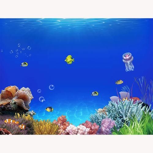 祿豐開水族店怎么樣？加盟祥龍魚場賣龍魚市場怎樣？