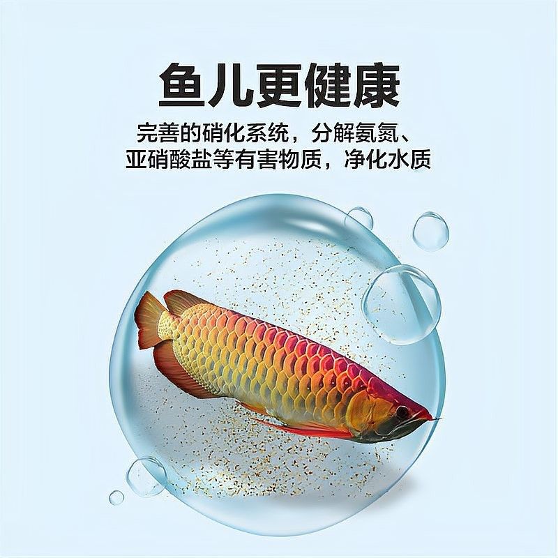龍魚過濾系統(tǒng)中硝化細菌如何維護？