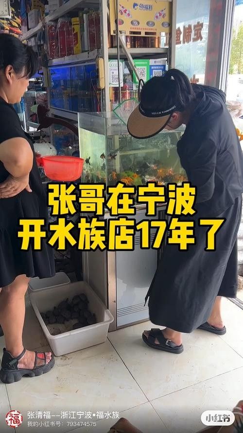 寧波開水族店怎么樣？加盟祥龍魚場賣龍魚市場怎樣？