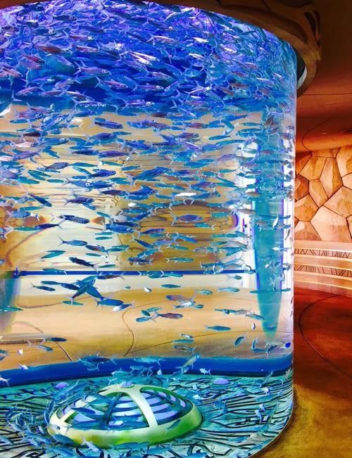 三亞開水族店怎么樣？加盟祥龍魚場賣龍魚市場怎樣？ 三亞開水族店怎么樣？加盟祥龍魚場賣龍魚市場怎樣？ 水族館百科（水族館加盟） 第6張