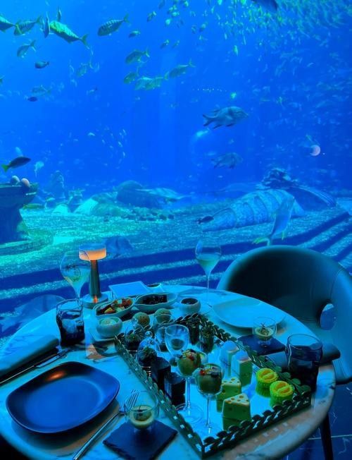 三亞開水族店怎么樣？加盟祥龍魚場賣龍魚市場怎樣？ 三亞開水族店怎么樣？加盟祥龍魚場賣龍魚市場怎樣？ 水族館百科（水族館加盟） 第5張