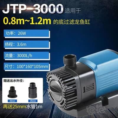 咸魚怎么獲得龍魚（在咸魚上購(gòu)買龍魚是一個(gè)相對(duì)便捷的方式）