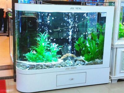 國內龍魚繁殖：國內龍魚養殖技術