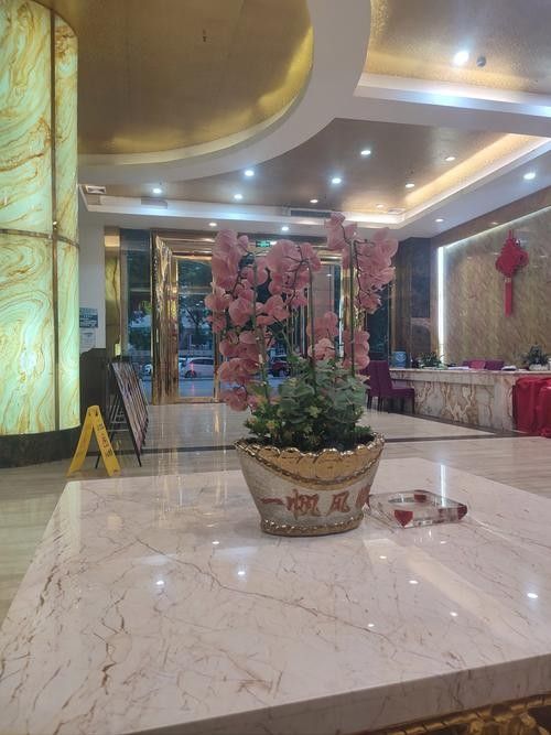 慶元開水族店怎么樣？加盟祥龍魚場(chǎng)賣龍魚市場(chǎng)怎樣？