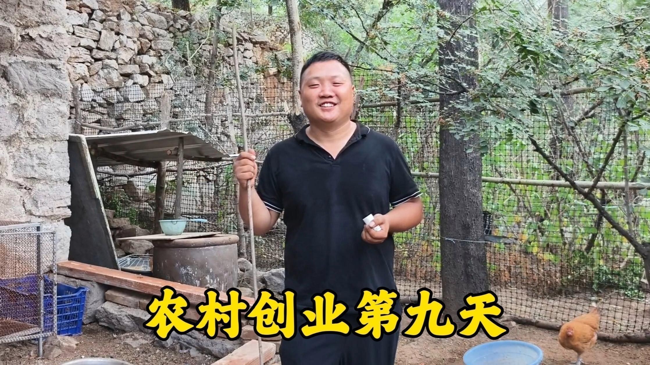 龍魚翹嘴好不好養活呀