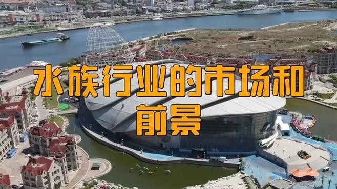 封開開水族店怎么樣？加盟祥龍魚場賣龍魚市場怎樣？