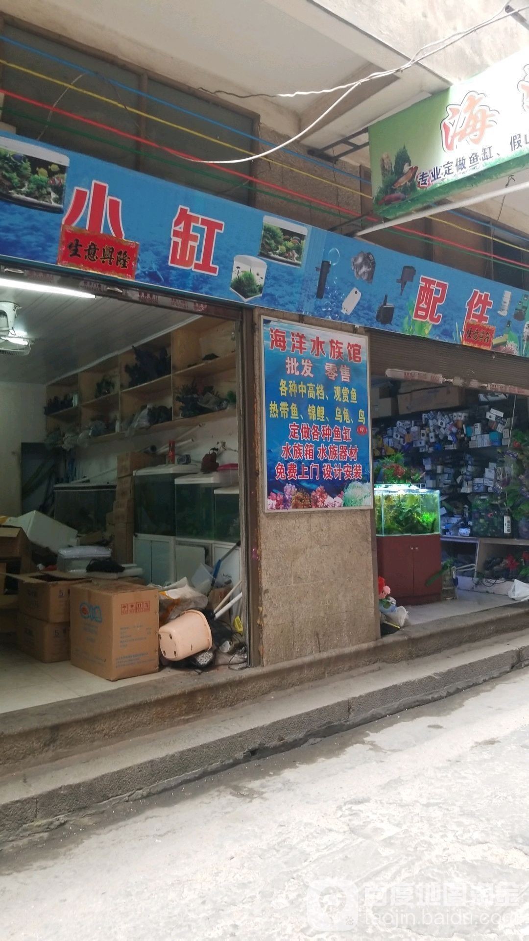 平潭開水族店怎么樣？加盟祥龍魚場賣龍魚市場怎樣？