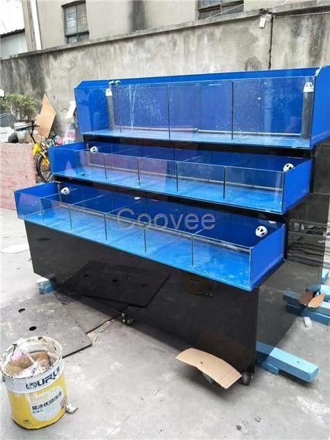 新鄉縣開水族店怎么樣？加盟祥龍魚場賣龍魚市場怎樣？