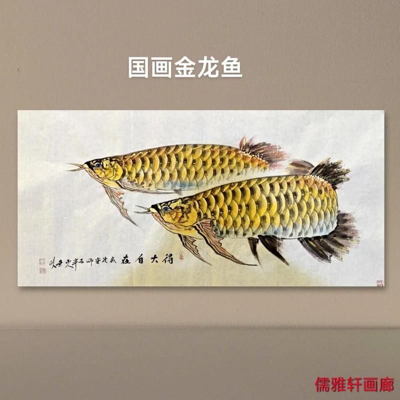 古典金龍魚圖片大全