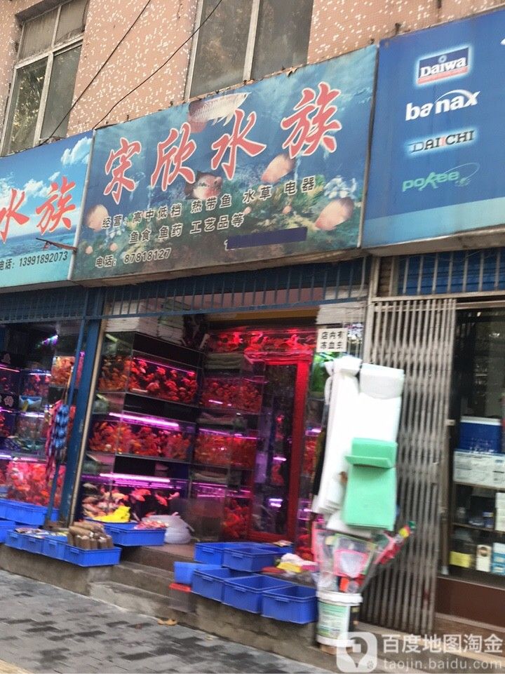 西安開水族店怎么樣？加盟祥龍魚場賣龍魚市場怎樣？
