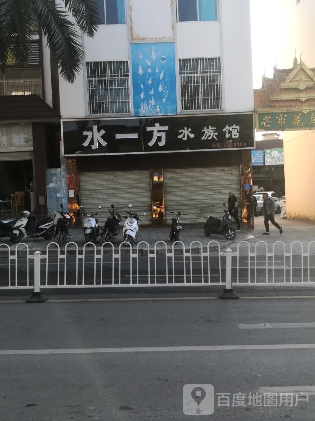 芒市開水族店怎么樣？加盟祥龍魚場賣龍魚市場怎樣？