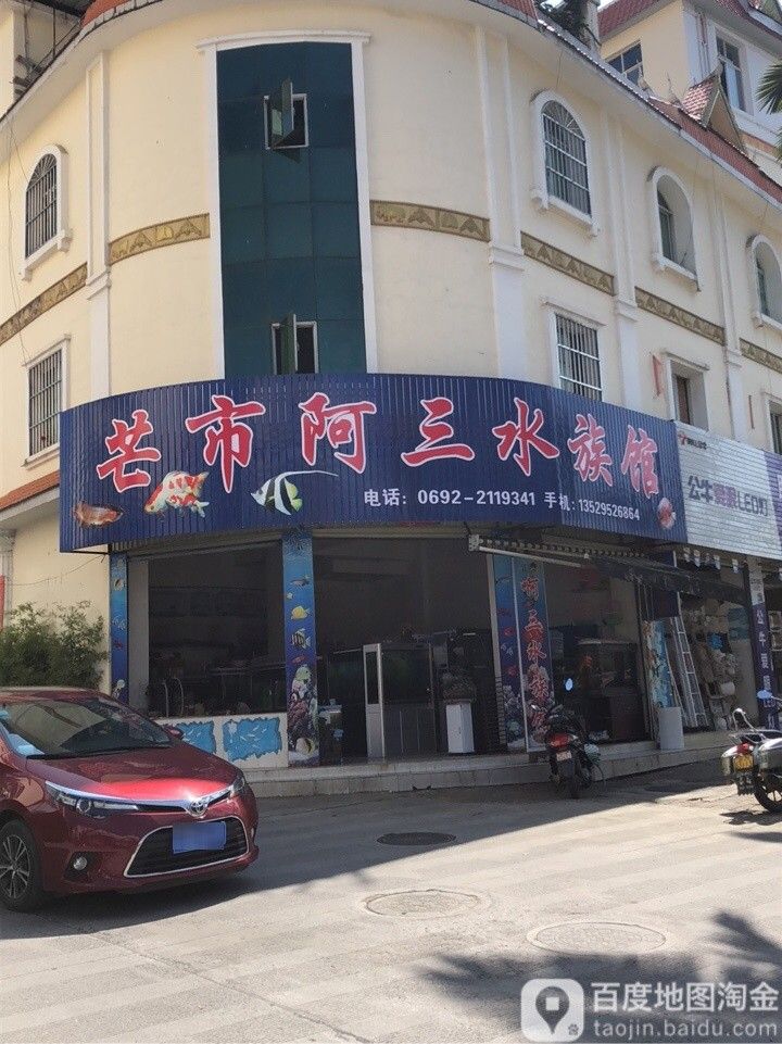 <strong><mark>芒市</mark></strong>開水族店怎么樣？加盟祥龍魚場賣龍魚市場怎樣？