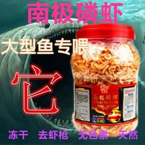 龍魚喂蝦干好嗎：龍魚喂蝦干好嗎龍魚喂蝦干好嗎，龍魚喂蝦干好嗎