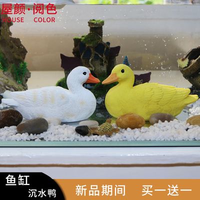 水鴨魚缸官方網(wǎng)站入口 水鴨魚缸官方網(wǎng)站入口 龍魚百科 第1張