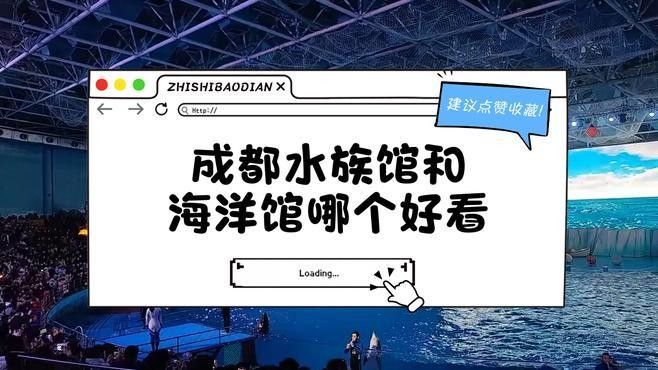 成都開水族店怎么樣？加盟祥龍魚場賣龍魚市場怎樣？