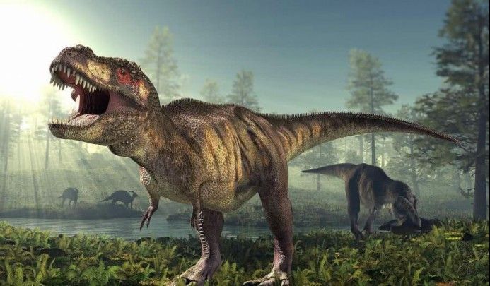 四角龍化石如何幫助研究生殖行為？