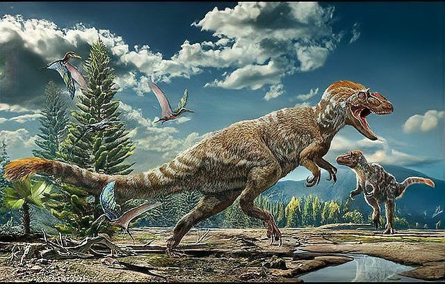 四角龍化石如何幫助研究生殖行為？