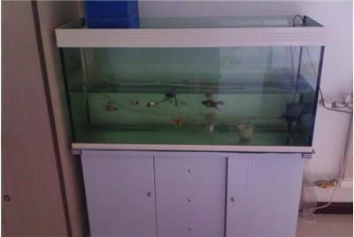 一米二長水鴉魚缸價格表