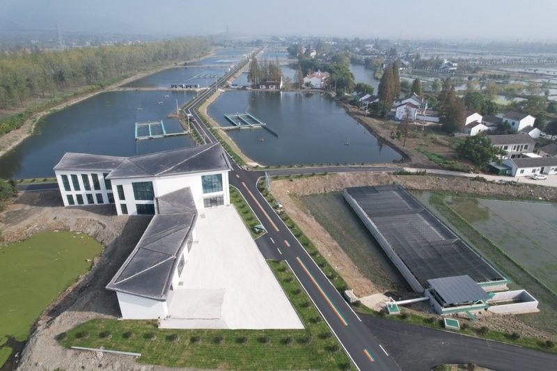 西湖開水族店怎么樣？加盟祥龍魚場賣龍魚市場怎樣？ 西湖開水族店怎么樣？加盟祥龍魚場賣龍魚市場怎樣？ 水族館百科（水族館加盟） 第5張