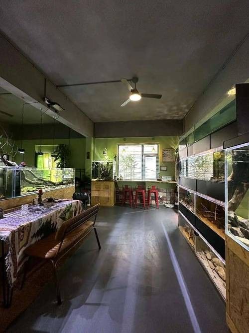 倉山開水族店怎么樣？加盟祥龍魚場賣龍魚市場怎樣？ 倉山開水族店怎么樣？加盟祥龍魚場賣龍魚市場怎樣？ 水族館百科（水族館加盟） 第6張