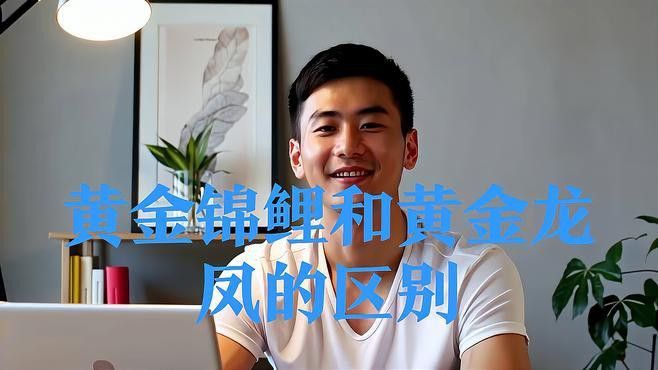 如何區分龍鳳魚的品種？