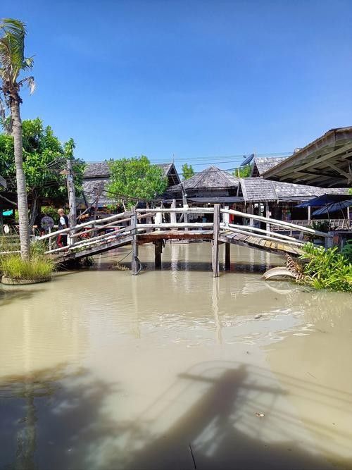 漾濞開水族店怎么樣？加盟祥龍魚場賣龍魚市場怎樣？