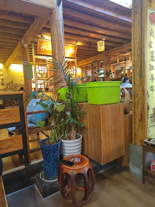 本溪滿族開水族店怎么樣？加盟祥龍魚場賣龍魚市場怎樣？