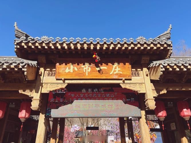 本溪滿族開水族店怎么樣？加盟祥龍魚場賣龍魚市場怎樣？
