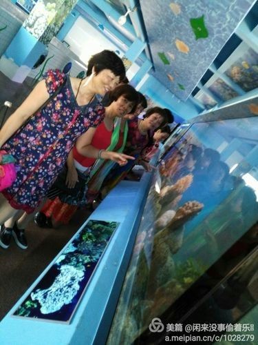 徐聞開水族店怎么樣？加盟祥龍魚場賣龍魚市場怎樣？