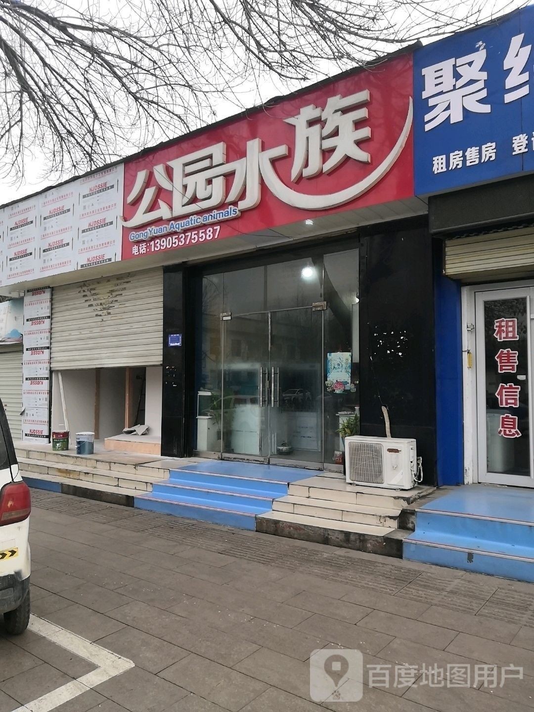 兗州開水族店怎么樣？加盟祥龍魚場賣龍魚市場怎樣？