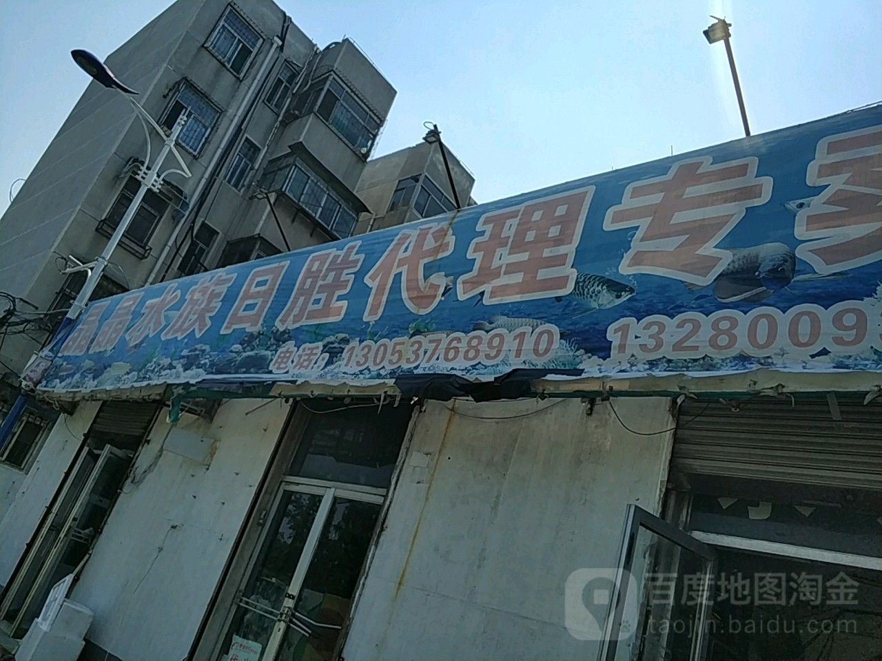 兗州開水族店怎么樣？加盟祥龍魚場賣龍魚市場怎樣？