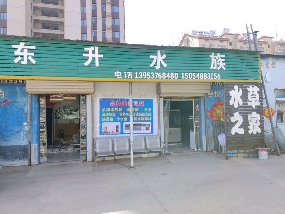 兗州開水族店怎么樣？加盟祥龍魚場賣龍魚市場怎樣？