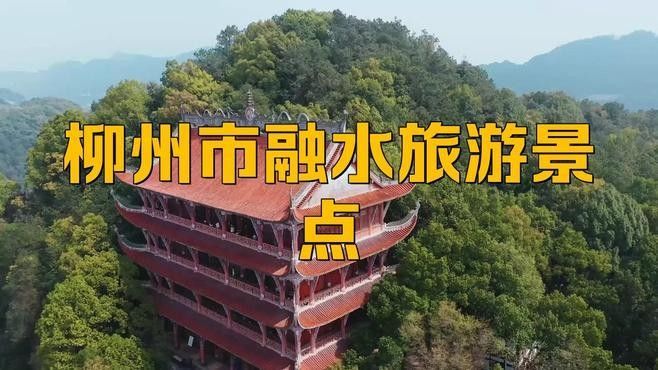 融水開水族店怎么樣？加盟祥龍魚場賣龍魚市場怎樣？ 融水開水族店怎么樣？加盟祥龍魚場賣龍魚市場怎樣？ 水族館百科（水族館加盟） 第2張