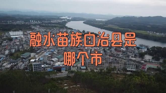 融水開水族店怎么樣？加盟祥龍魚場賣龍魚市場怎樣？ 融水開水族店怎么樣？加盟祥龍魚場賣龍魚市場怎樣？ 水族館百科（水族館加盟） 第3張