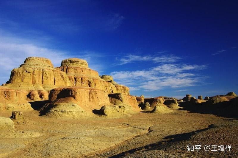 烏爾禾開水族店怎么樣？加盟祥龍魚場賣龍魚市場怎樣？