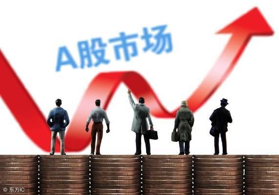 金龍魚屬于哪個行業，金龍魚屬于什么行業