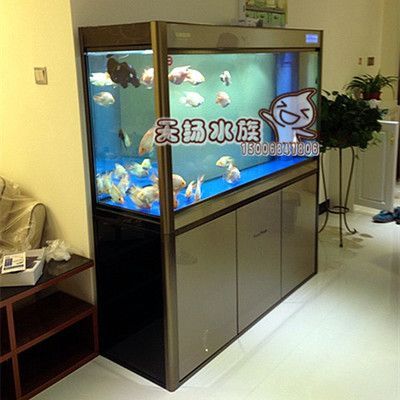 養龍魚用殺菌燈嗎有用嗎：養龍魚是否需要使用殺菌燈，