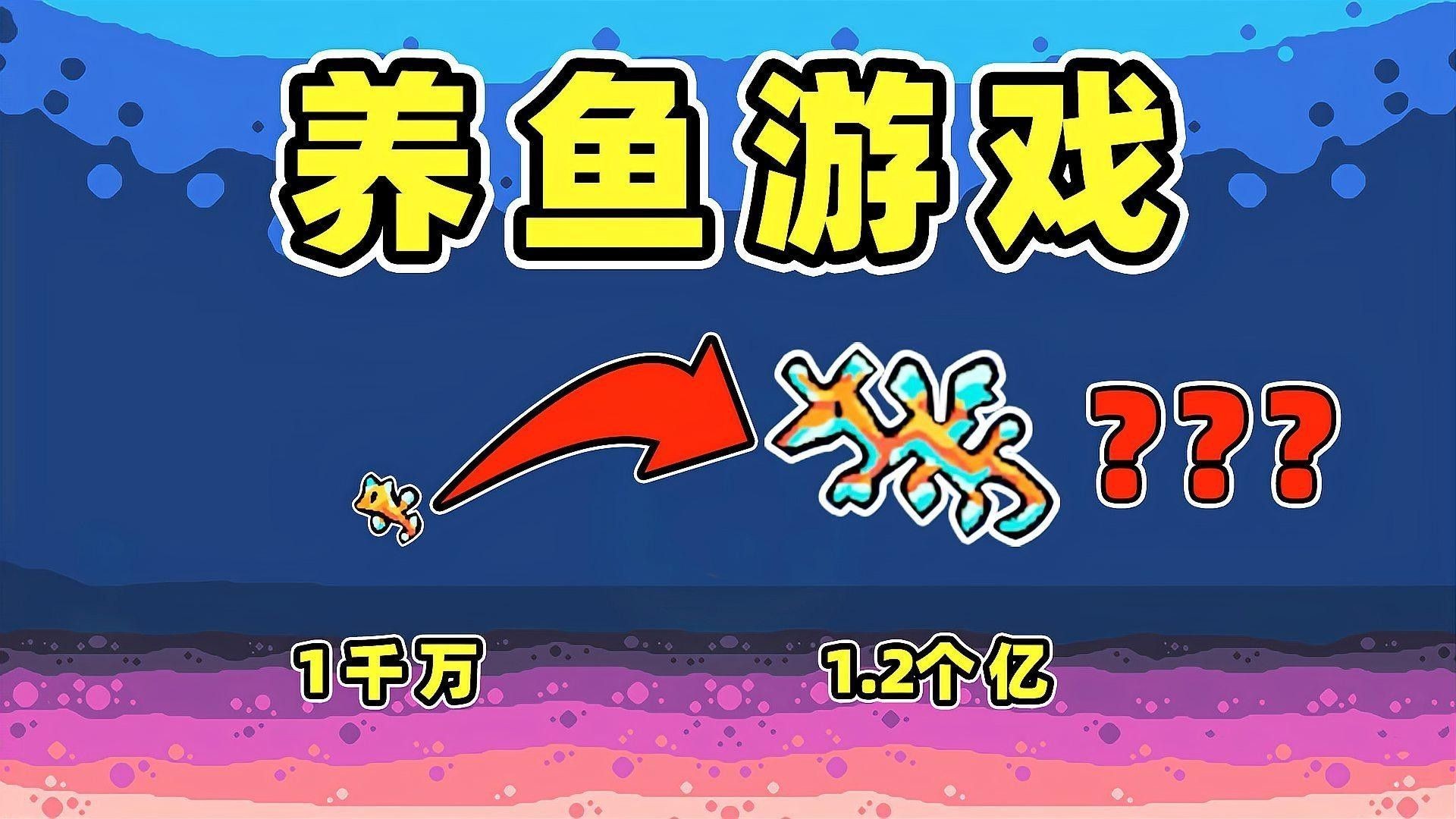 漢臺開水族店怎么樣？加盟祥龍魚場賣龍魚市場怎樣？